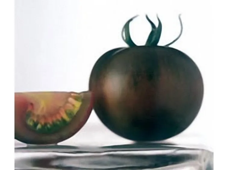 pomodoro nero-9