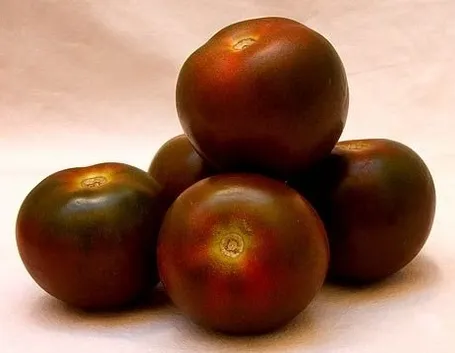 pomodoro nero