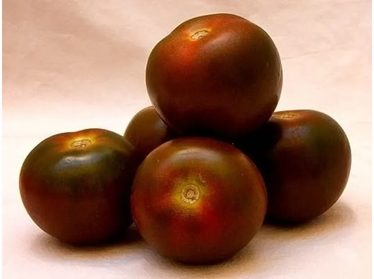 pomodoro nero
