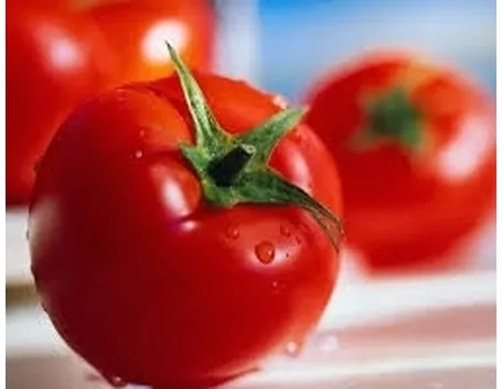 sementi pomodori