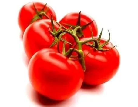 Domanda : farfallina del pomodoro