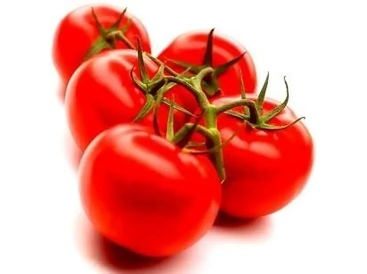 Domanda : farfallina del pomodoro
