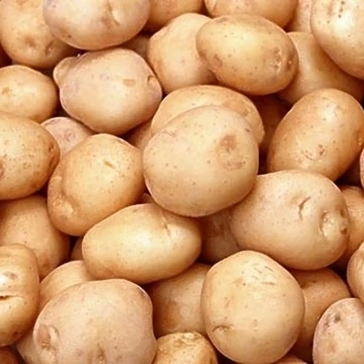 La Patata americana
