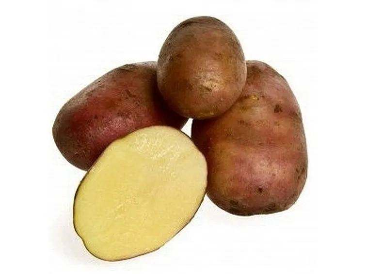 La patata dolce in cucina