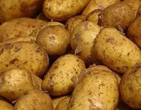 La patata