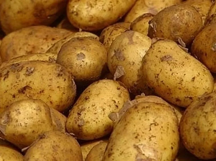 La patata