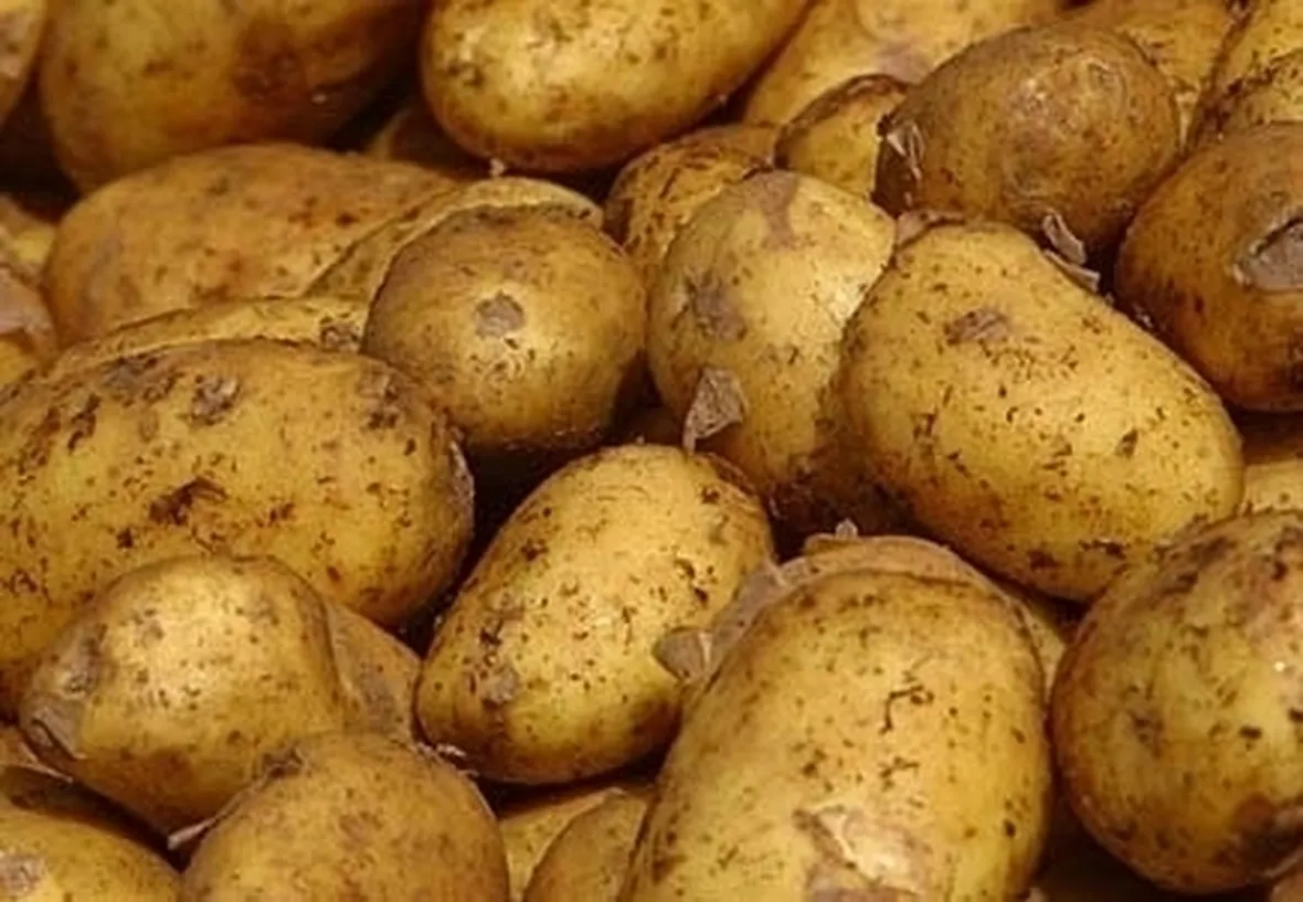 La patata