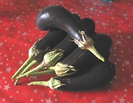melanzana-6