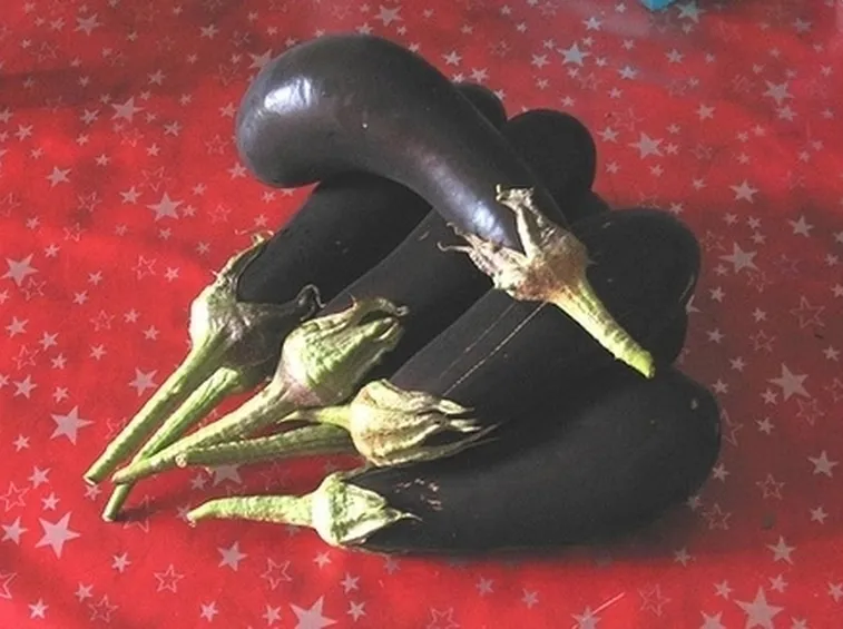 melanzana-6