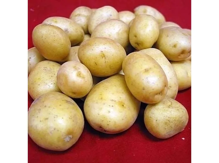 patata-9