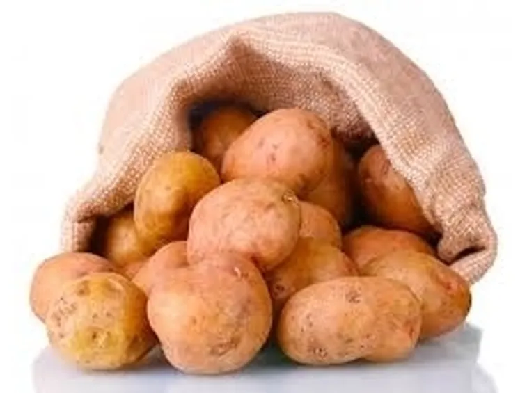 patata