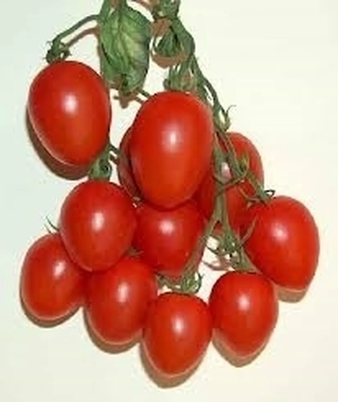 Pomodoro
