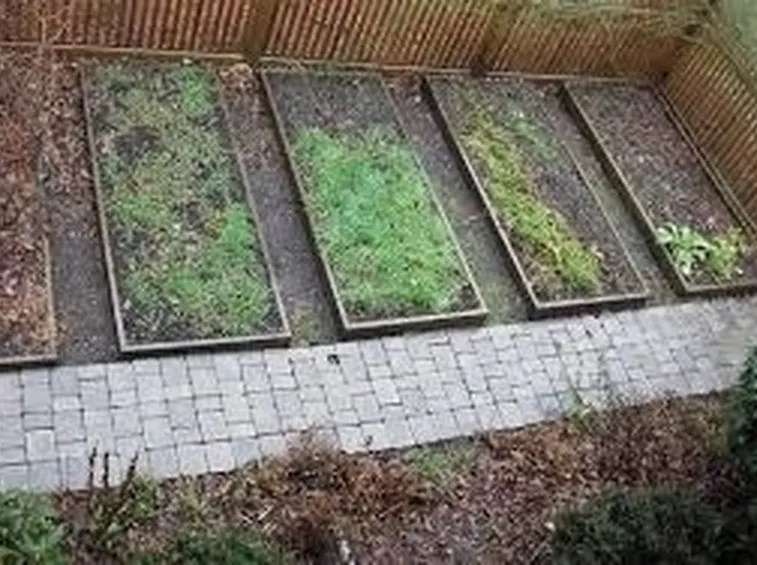 Orto in balcone-7
