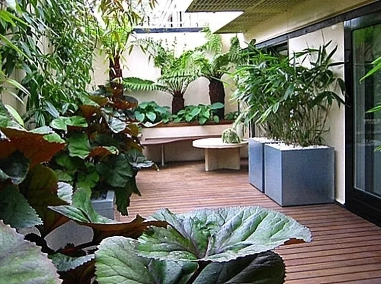 Orto in balcone