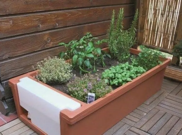 Orto in balcone-4