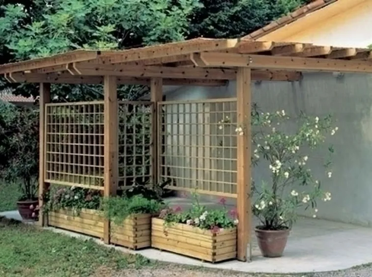 Caratteristiche della pergola