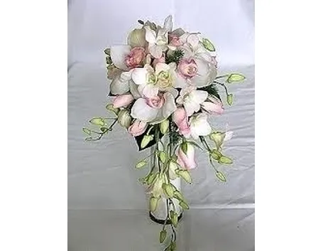 concime orchidee-6