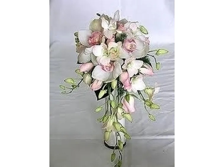 concime orchidee-6