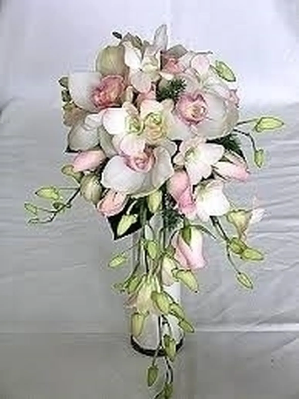 concime orchidee-6