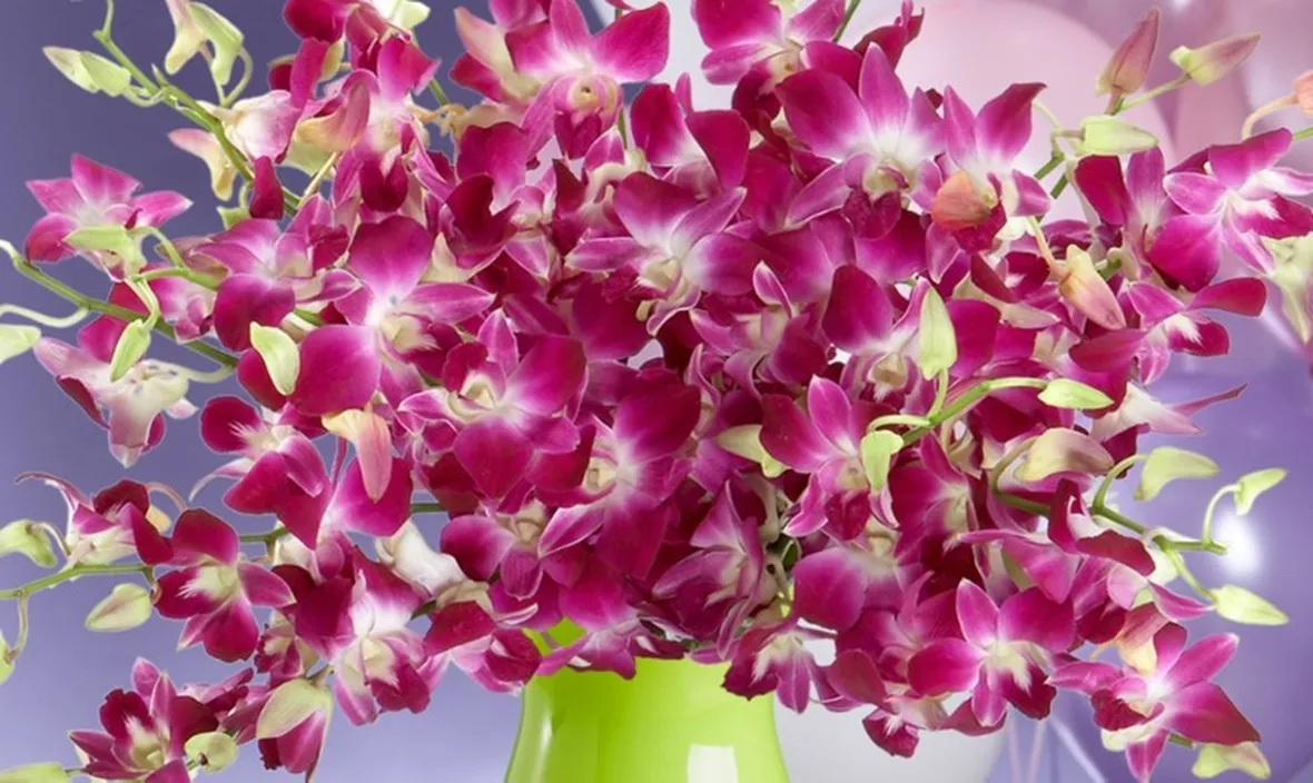 Malattie orchidee