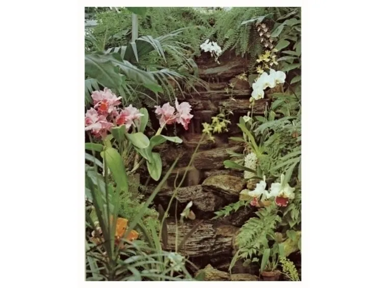 terriccio orchidee-7