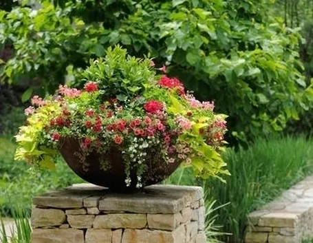 vaso per orchidea-2