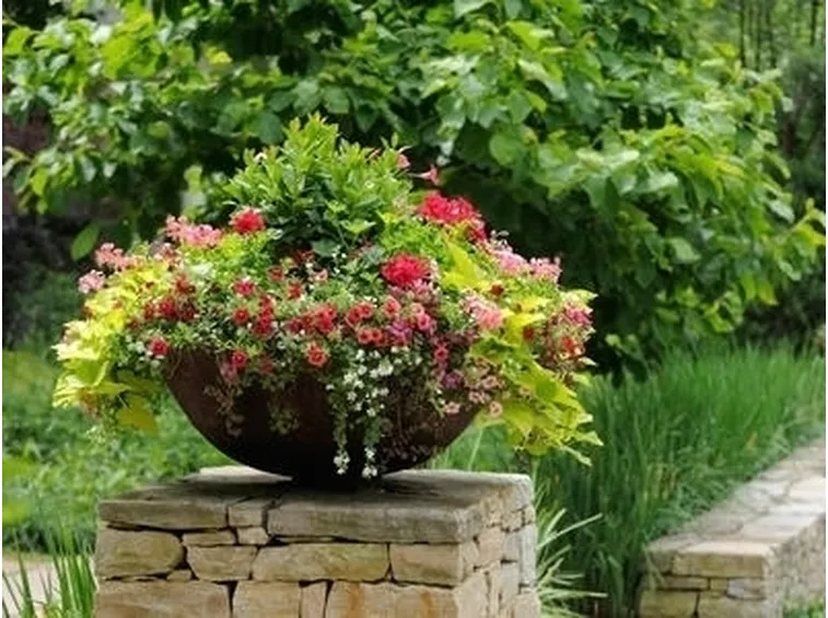 vaso per orchidea-2