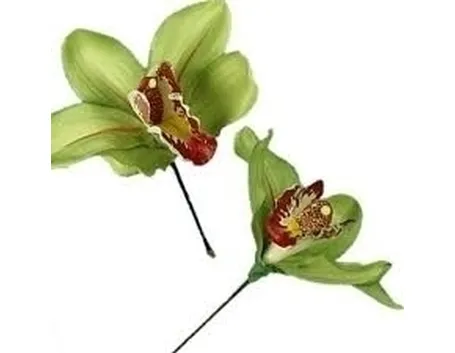 Annaffiare le orchidee