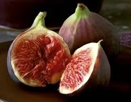 Domanda : fico