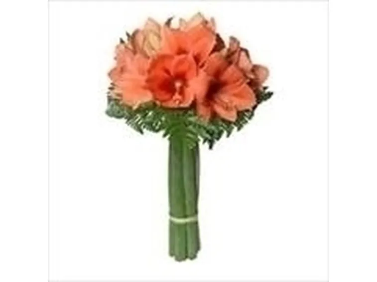 bouquet di amarillis arancio-1