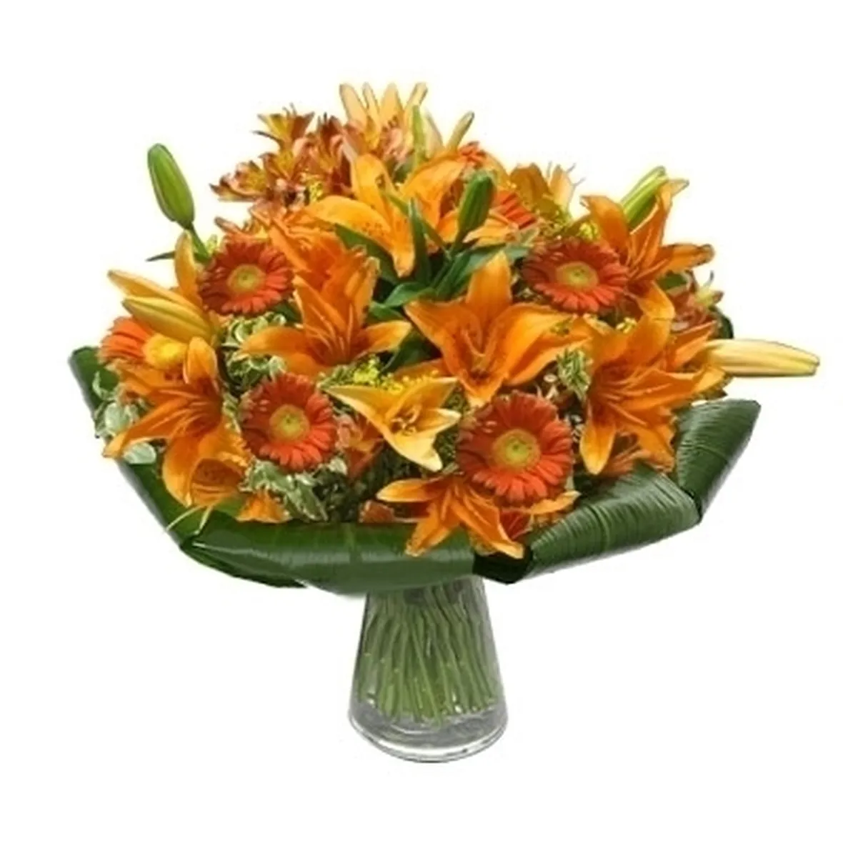 bouquet di amarillis arancio
