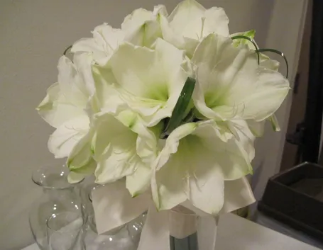 bouquet di amarillis bianchi