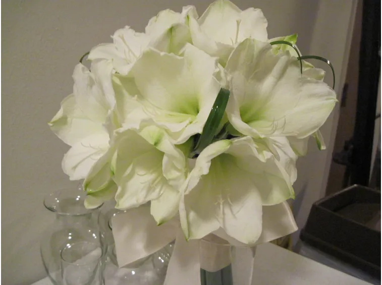 bouquet di amarillis bianchi