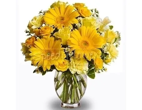 bouquet di gerbere gialle