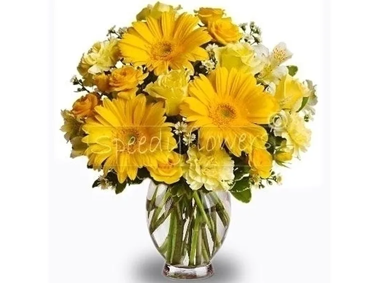 bouquet di gerbere gialle
