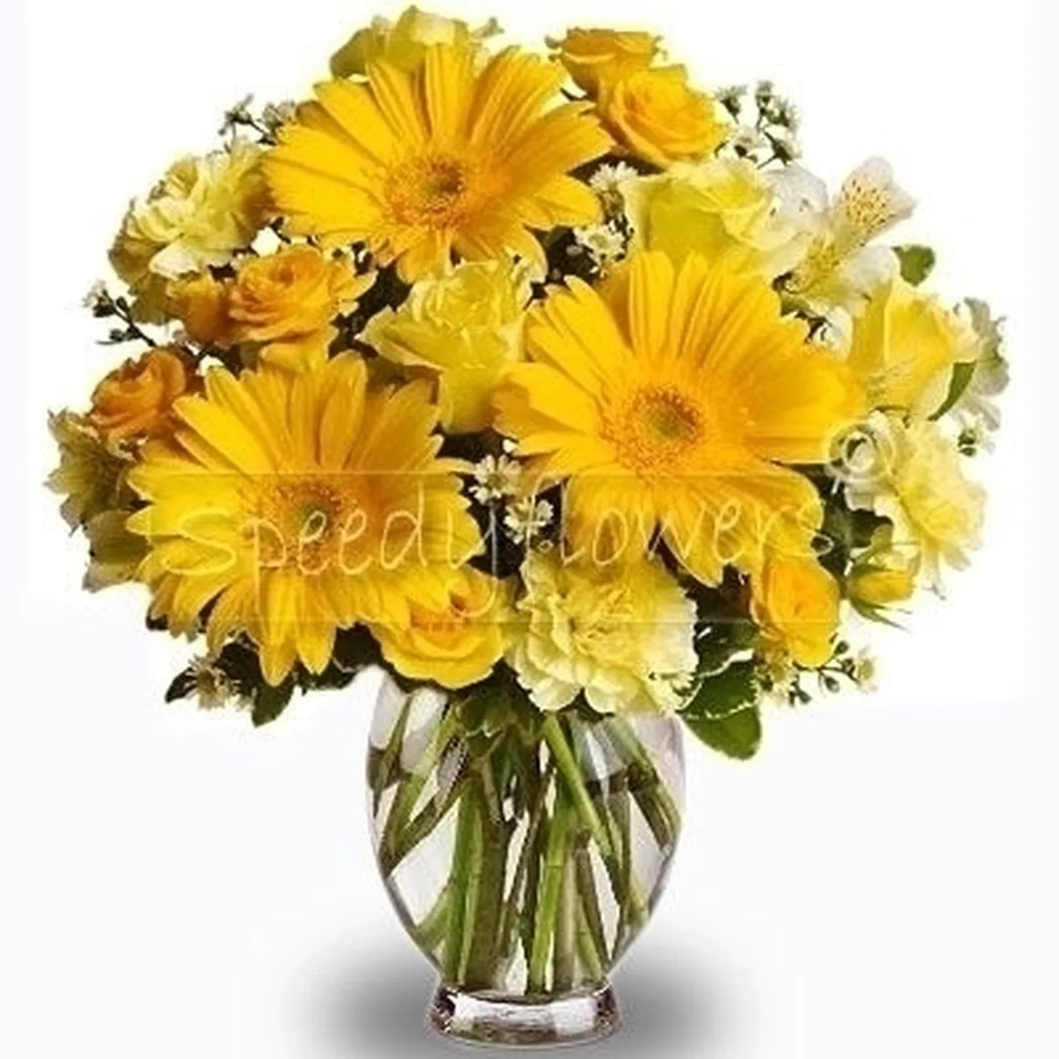 bouquet di gerbere gialle