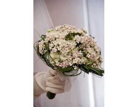 bouquet di ortensie e garofani