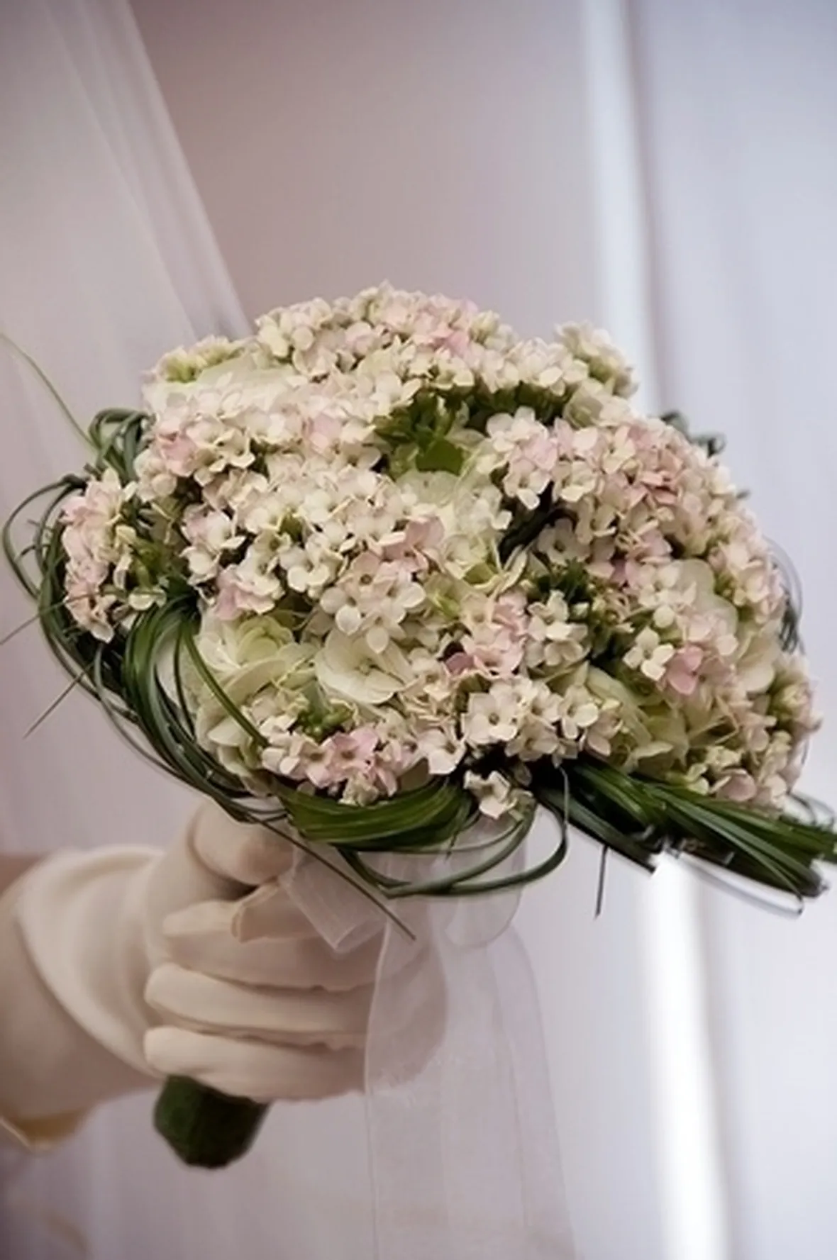 bouquet di ortensie e garofani