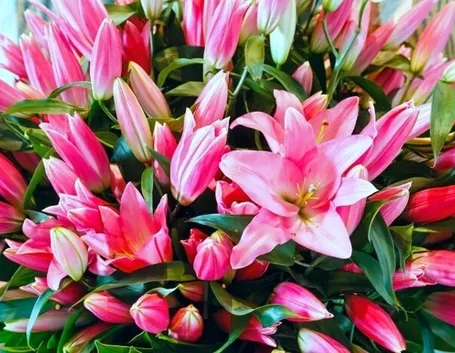 bouquet per festa della mamma