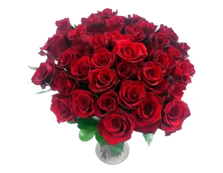 bouquet tonalit? rosa fuxia