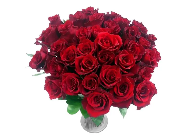 bouquet tonalit? rosa fuxia