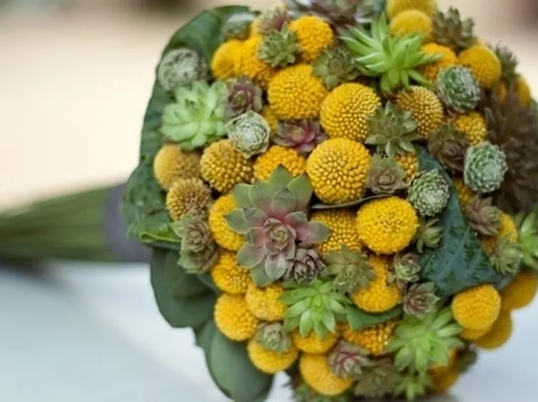 centrotavola di mimosa-1