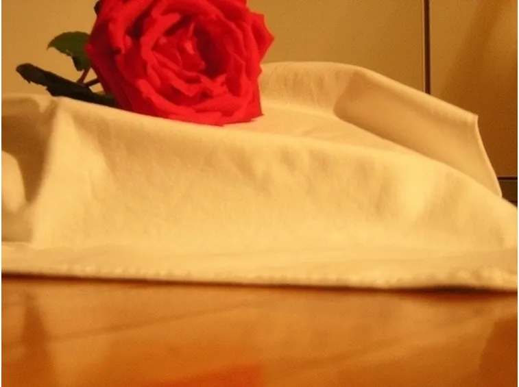composizione rosa e arancio-1