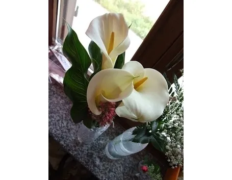 consegna fiori per la mamma