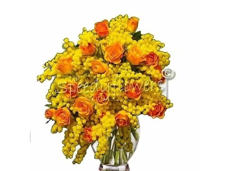 cuore funebre di rose e mimosa