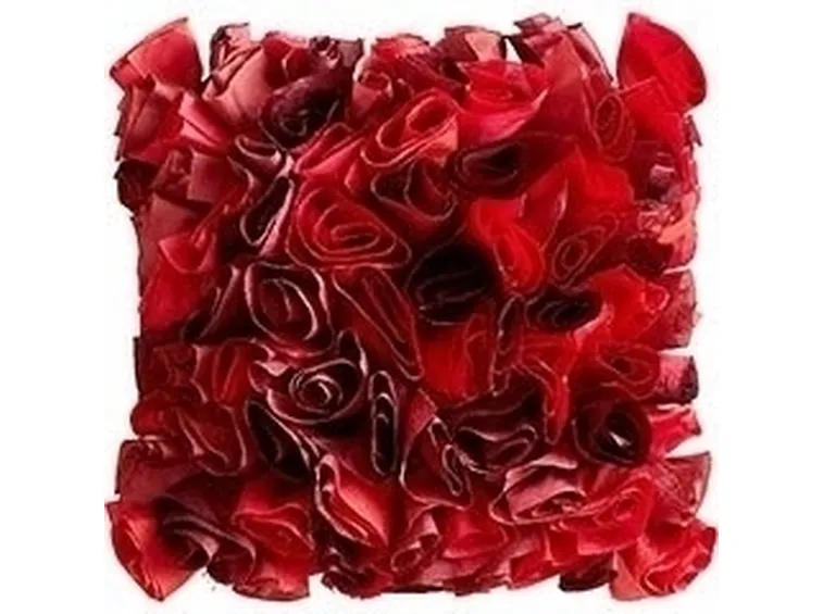 cuscino tondo di rose rosse