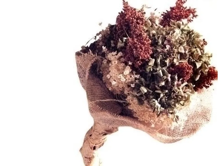 fiori per defunti-1