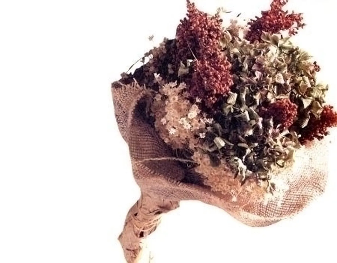 fiori per defunti-1
