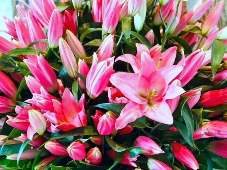 fiori per la Sposa