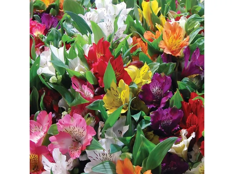 invio fiori per defunti